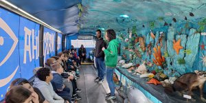 Porto Belo realiza Semana do Meio Ambiente com projeto de educao marinha