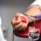 Porto Belo disponibiliza transporte at Florianpolis para doao de sangue ao Rio Grande do Sul
