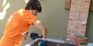 Regio tem infestao de mosquitos da dengue
