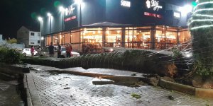 Forte tempestade causa transtornos em Tijucas