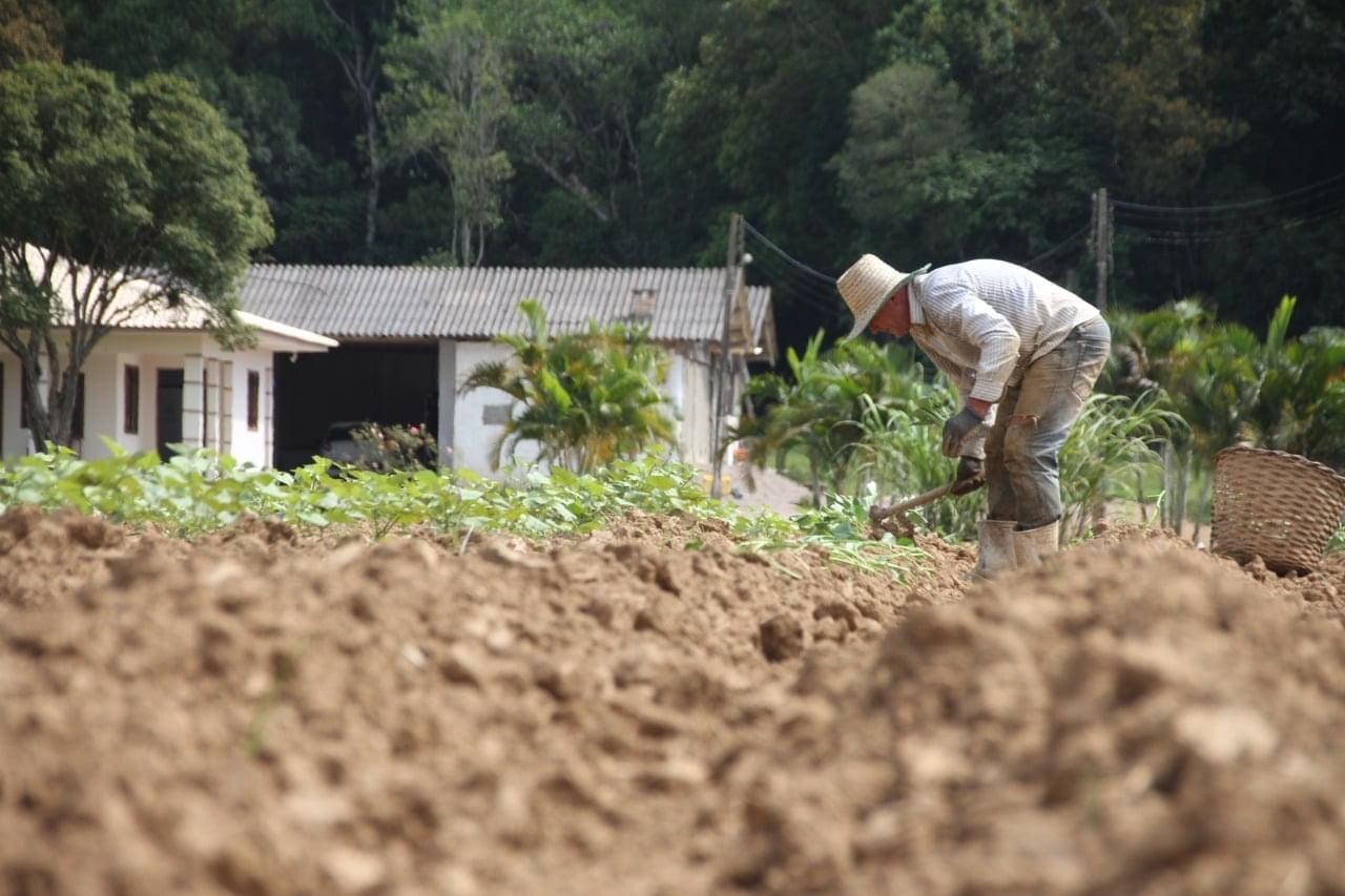 Agricultores afetados podem fazer financiamento sem juros