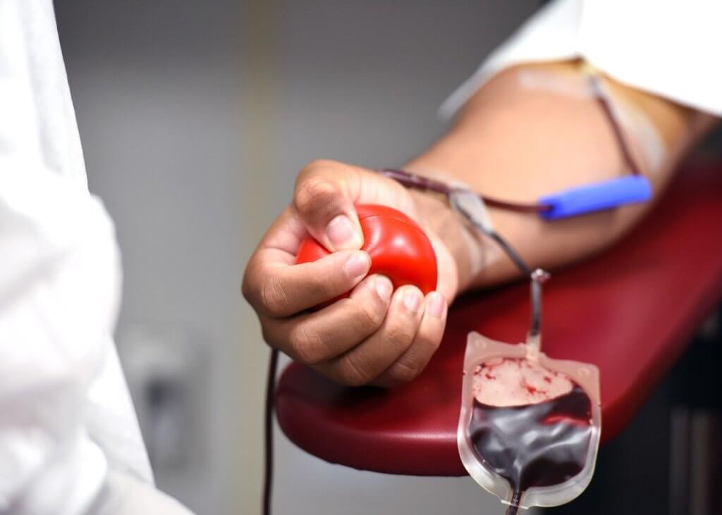 Porto Belo disponibiliza transporte at Florianpolis para doao de sangue ao Rio Grande do Sul