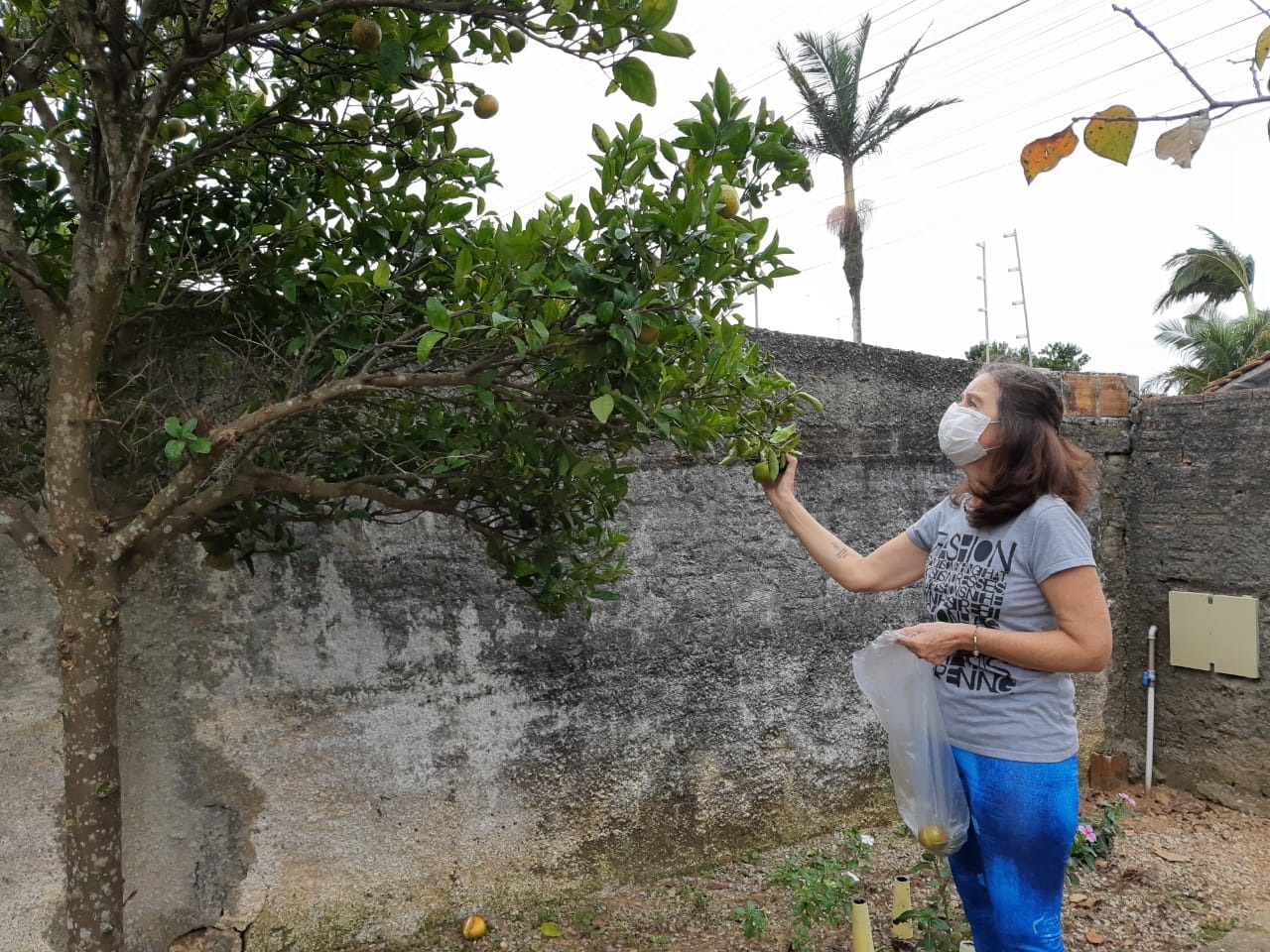 Doao de frutas: a nobreza de um gesto to simples