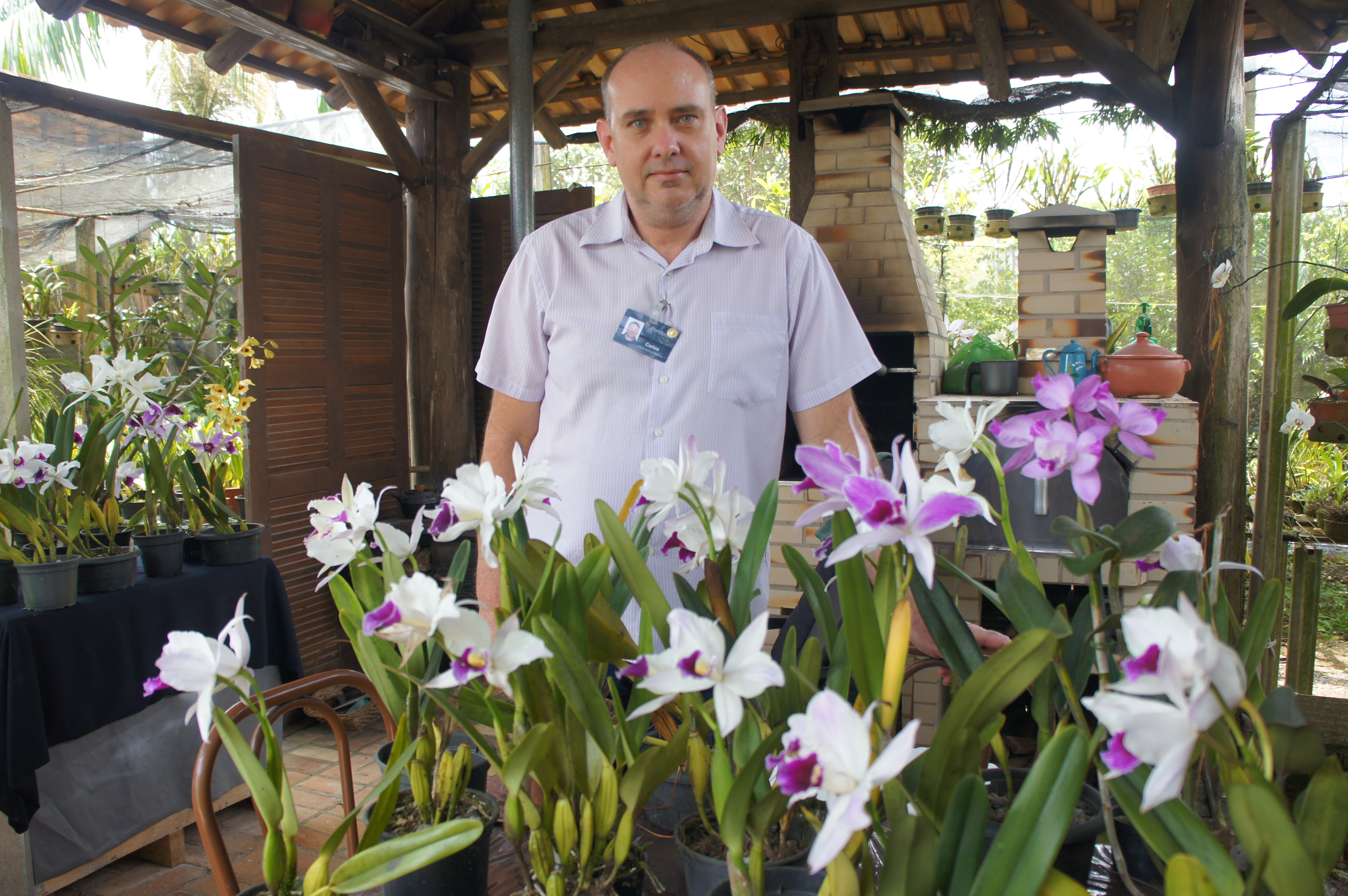 Vai ter exposio de orqudeas em Tijucas