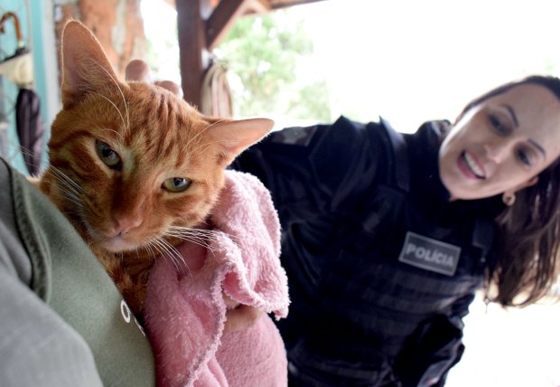 Presdio entrega mantas para protetores de animais